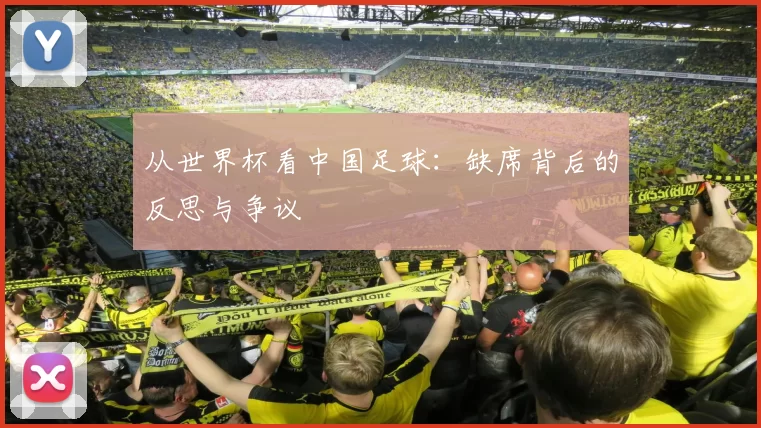 从世界杯看中国足球：缺席背后的反思与争议