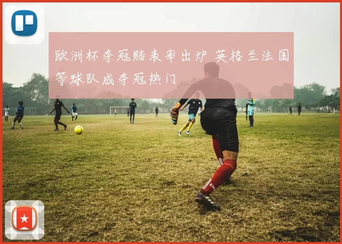 欧洲杯夺冠赔表率出炉 英格兰法国等球队成夺冠热门