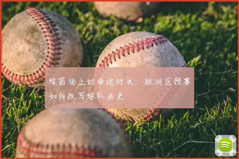 绿茵场上的命运对决:欧洲区预赛如何改写球队历史