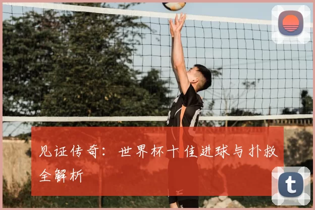 见证传奇:世界杯十佳进球与扑救全解析