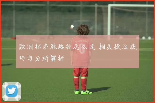 欧洲杯夺冠路径怎么走 相关投注技巧与分析解析