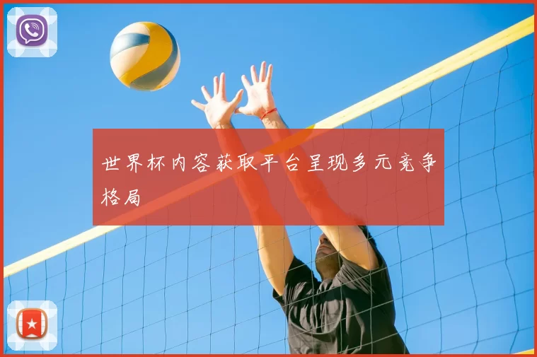 世界杯内容获取平台呈现多元竞争格局