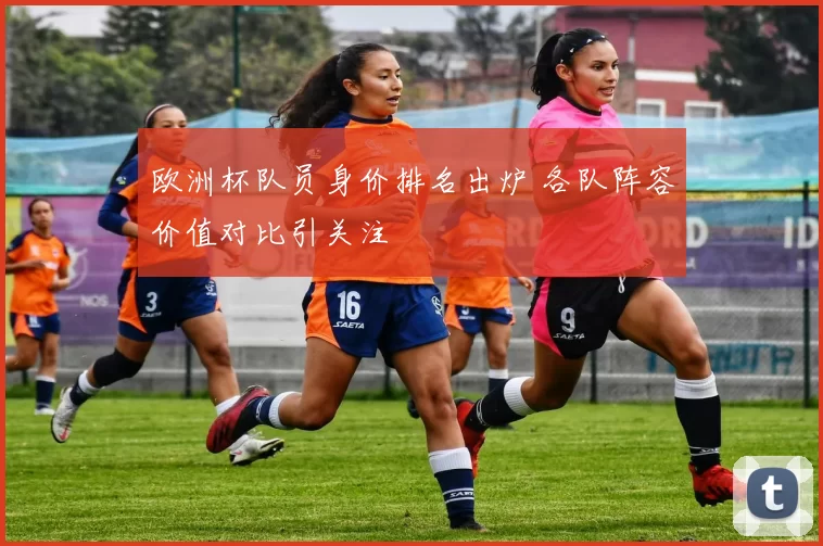 欧洲杯队员身价排名出炉 各队阵容价值对比引关注