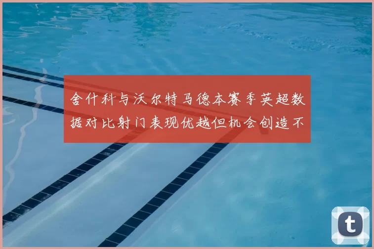 舍什科与沃尔特马德本赛季英超数据对比射门表现优越但机会创造不足