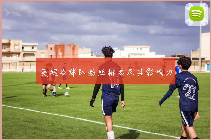 英超各球队粉丝排名及其影响力