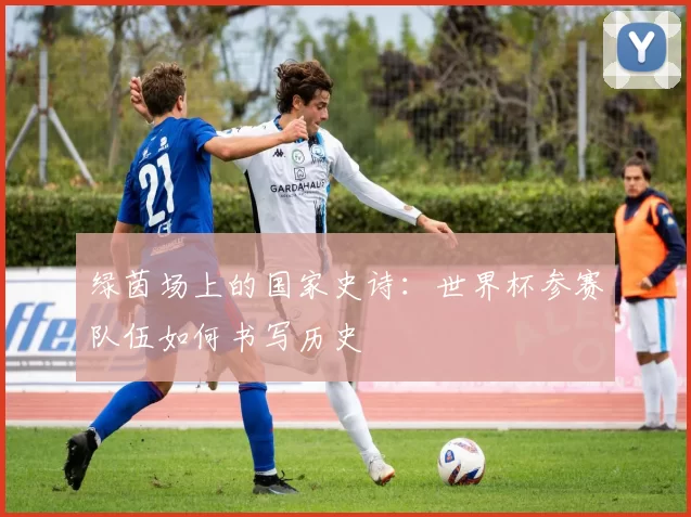 绿茵场上的国家史诗:世界杯参赛队伍如何书写历史