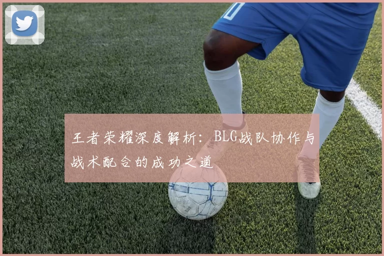 王者荣耀深度解析：BLG战队协作与战术配合的成功之道