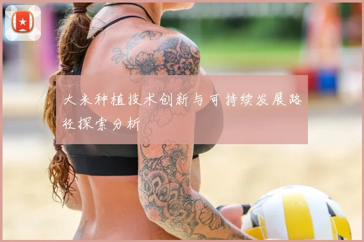 大米种植技术创新与可持续发展路径探索分析