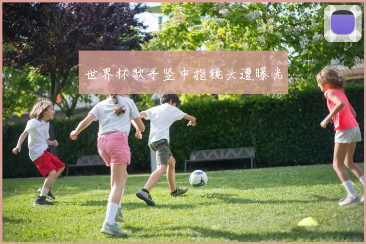 世界杯歌手竖中指镜头遭曝光