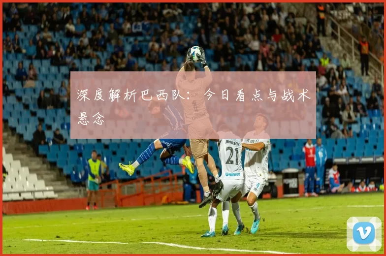 深度解析巴西队:今日看点与战术悬念